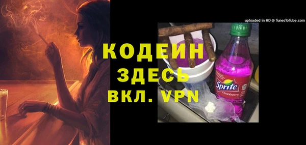 хмурый Гусь-Хрустальный