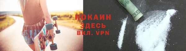 индика Саки