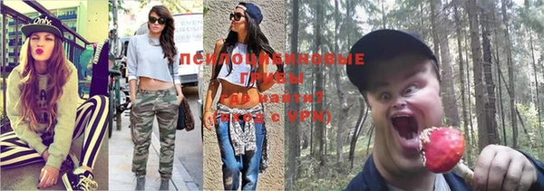 соль курить ск Михайловка