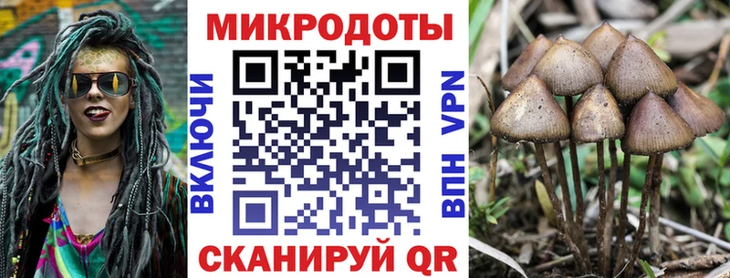 Галлюциногенные грибы Cubensis  ОМГ ОМГ ССЫЛКА  Бабаево  купить закладку 